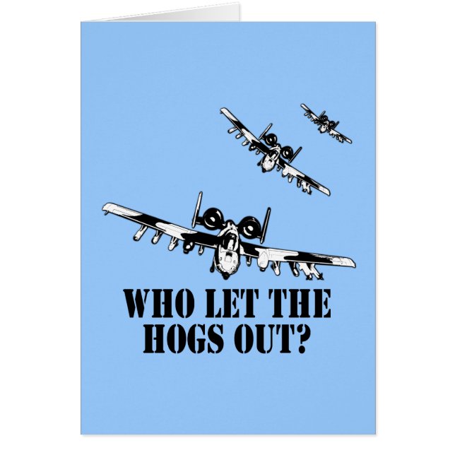 A-10 Warthog (正面)