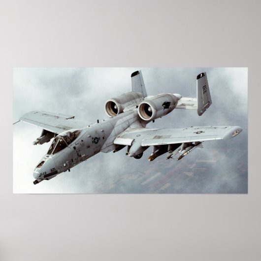 A-10 Warthog ポスター (正面)