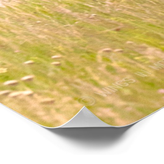 A-10C THUNDERBOLT II ポスター (角)