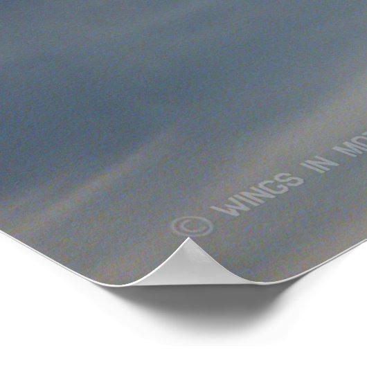 A-7EコルセアII ポスター (角)