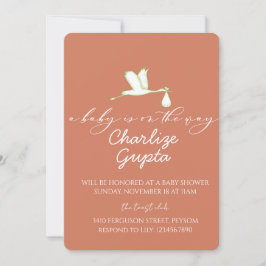 A Baby Is on the Way Baby Shower  招待状