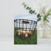 A Basket of Farm Fresh Eggs in the Grass ポストカード (スタンド正面)