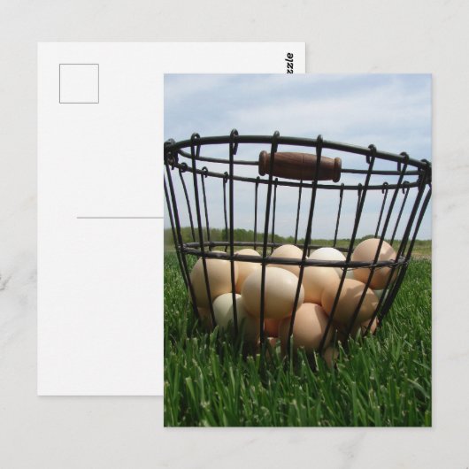 A Basket of Farm Fresh Eggs in the Grass ポストカード (正面/裏面)