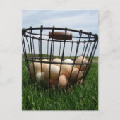A Basket of Farm Fresh Eggs in the Grass ポストカード (正面)