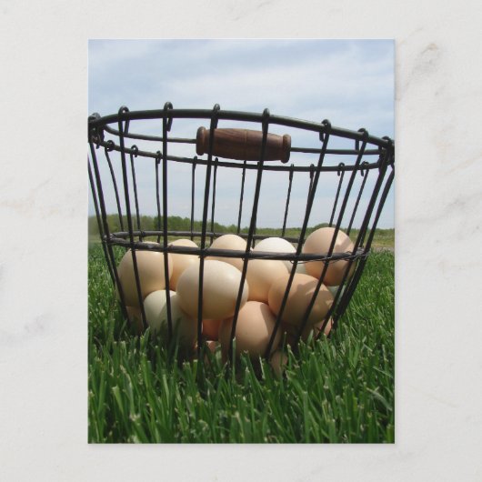 A Basket of Farm Fresh Eggs in the Grass ポストカード (正面)