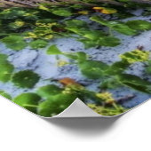 A Beach Fence at Sunset ポスター (角)