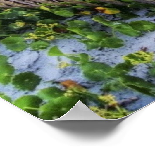 A Beach Fence at Sunset ポスター (角)