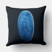 A Beautiful Blue Planet クッション (裏面)