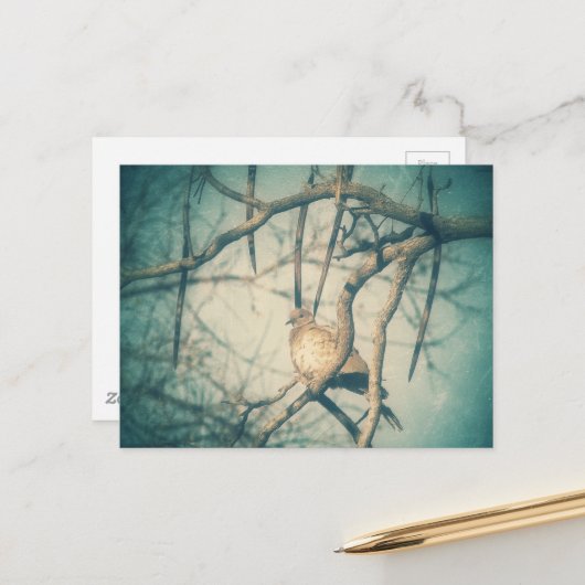 A beautiful Dove ポストカード (正面/裏面インサイチュ)