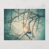 A beautiful Dove ポストカード (正面)