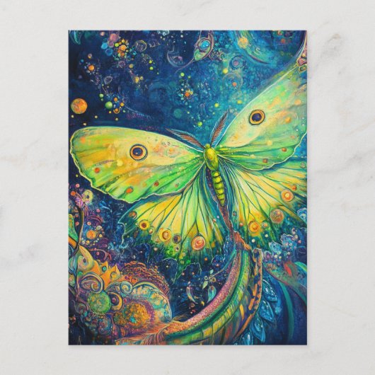 A Beautiful Green Moth ポストカード (正面)