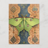 A Beautiful Green Moth Brown Blue Background ポストカード (正面)