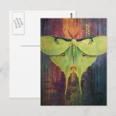 A Beautiful Luna Moth ポストカード (正面/裏面)