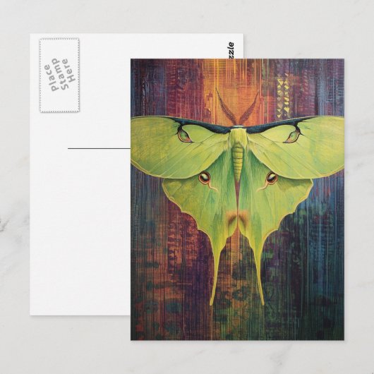 A Beautiful Luna Moth ポストカード (正面/裏面)