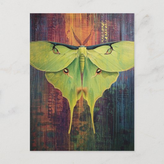 A Beautiful Luna Moth ポストカード (正面)