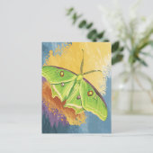 A Beautiful Moth ポストカード (スタンド正面)