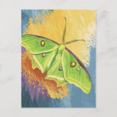 A Beautiful Moth ポストカード (正面)