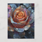 A Beautiful Rose Flower ポストカード (正面)
