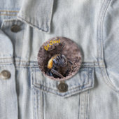 A bee on a badge 缶バッジ (インサイチュ)