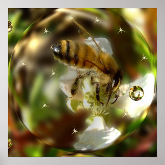 A Bee's Worldのポスター ポスター