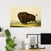 A Bison, c.1832 ポスター (ホームオフィス)