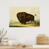 A Bison, c.1832 ポスター (キッチン)