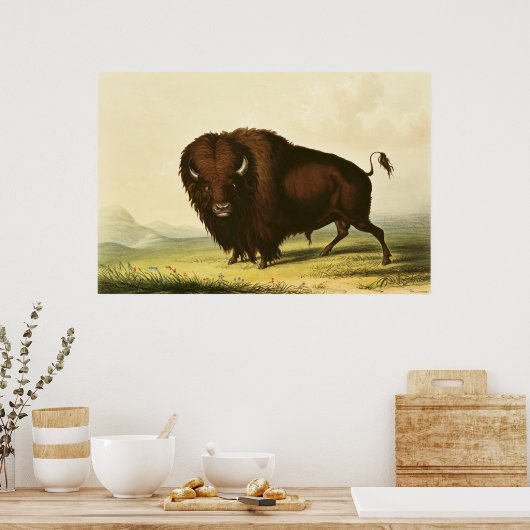 A Bison, c.1832 ポスター (キッチン)