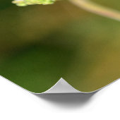 A black ladybug with red spots  ポスター (角)