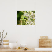 A black ladybug with red spots  ポスター (キッチン)