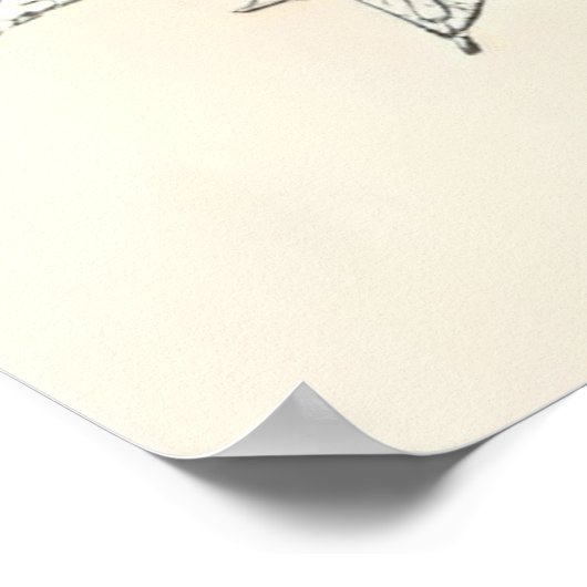 A Bond Beyond Flaws II ポスター (角)