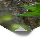 A Bouquet of Carolina春美しいポスター ポスター (角)