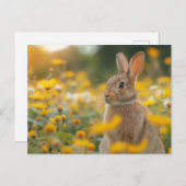 A Brush of 自然：ウサギ ポストカード (正面/裏面)