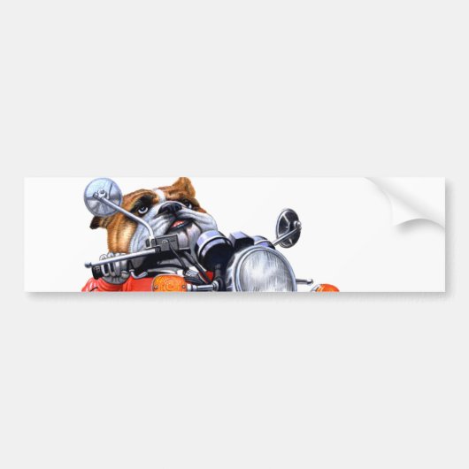 A BULLDOG RIDING BIKE バンパーステッカー (正面)