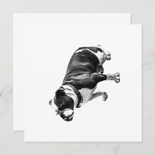 A Calm Place to Sit 招待状 (正面/裏面)