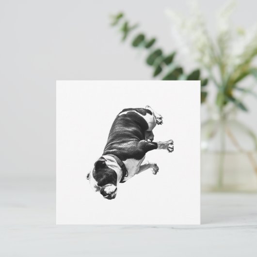 A Calm Place to Sit 招待状 (スタンド正面)