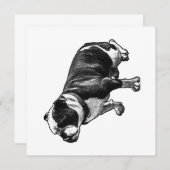 A Calm Welcome 招待状 (正面/裏面)