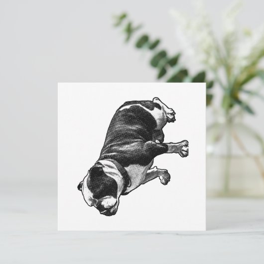 A Calm Welcome 招待状 (スタンド正面)