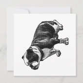 A Calm Welcome 招待状 (正面)