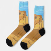 A camel socks  ソックス (左)