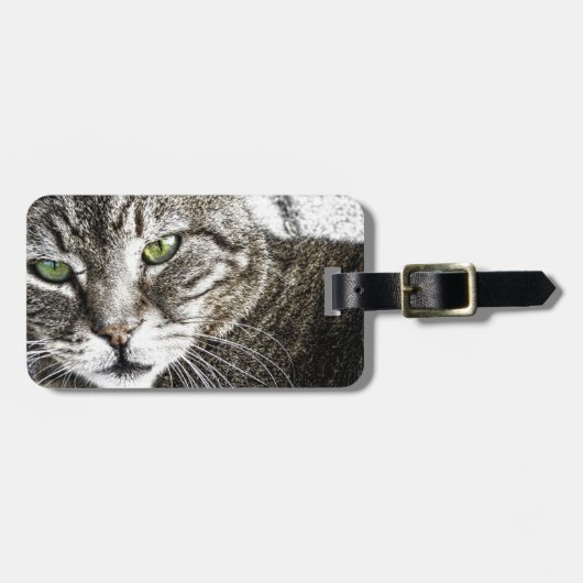 a cat ラゲッジタグ (正面横)