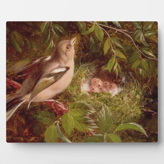 A Chaffinch at its Nest, 1877 (パネル上の油) フォトプラーク (正面)