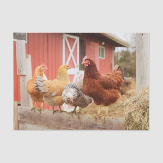 A Chaotic Chicken Portrait Part 2 薄葉紙 (正面)