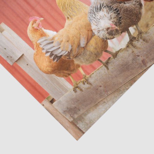 A Chaotic Chicken Portrait Part 2 薄葉紙 (詳細)