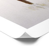 A Cheyenne Brave, 1901 （カラーリソ） ポスター (角)