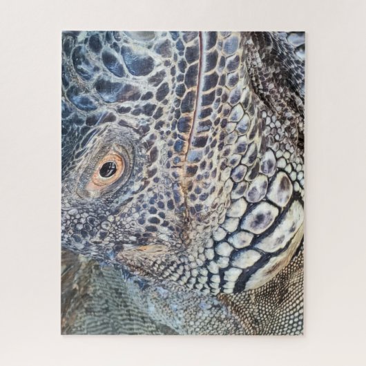 A close up head of a green iguana. Challenging ジグソーパズル (縦)