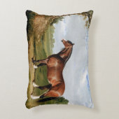 A Clydesdale Stallion アクセントクッション (正面(垂直))