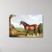 A Clydesdale Stallion キャンバスプリント (正面)