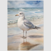 A Coastal Series Design 16 薄葉紙 (正面)