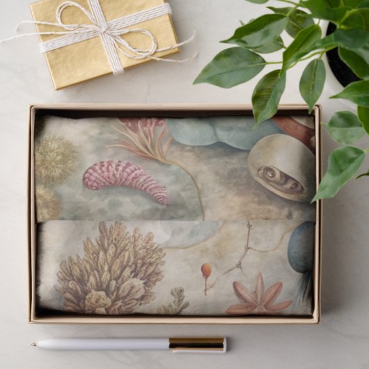 A Coastal Series Design 46 薄葉紙 (ギフト)