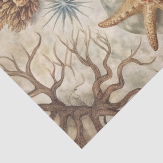 A Coastal Series Design 46 薄葉紙 (詳細)